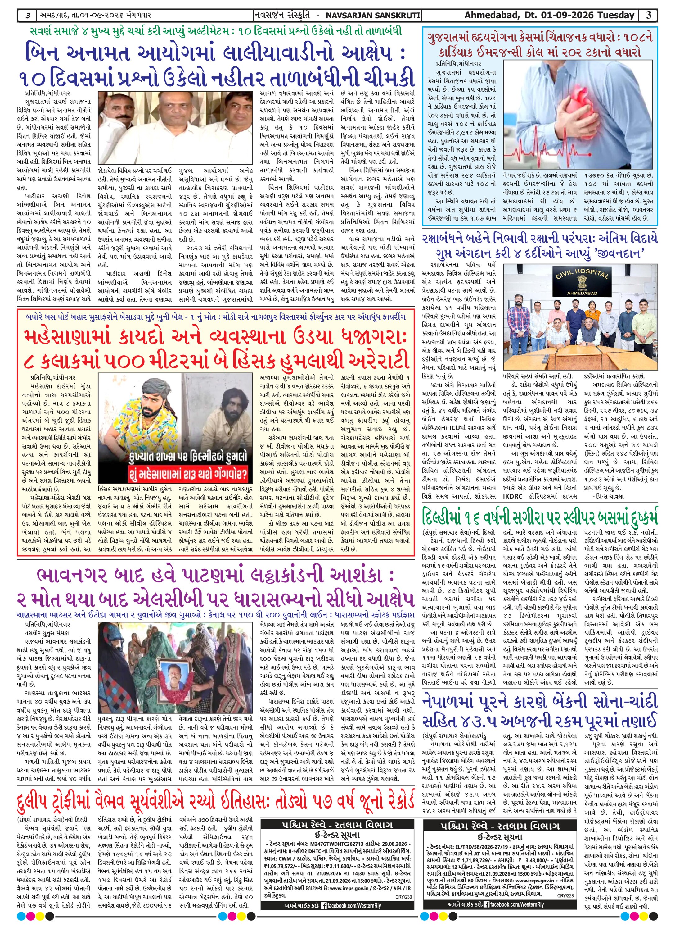 Page 3
